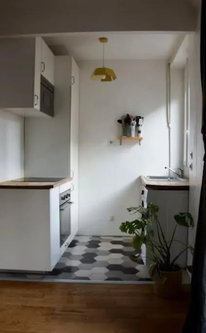Voguish Parisian 40m2 Flat Near La Bastille, 11th